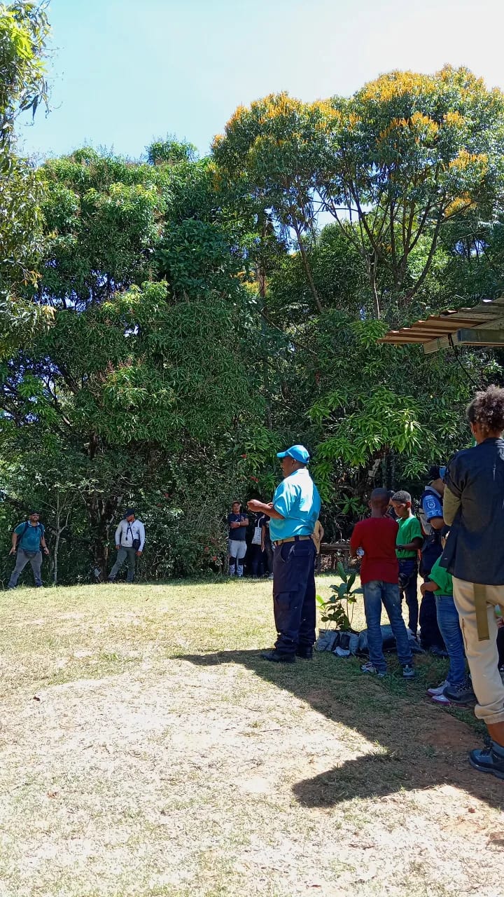 Jóvenes y niños participaron en jornada de reforestación en Piña, Colón ...