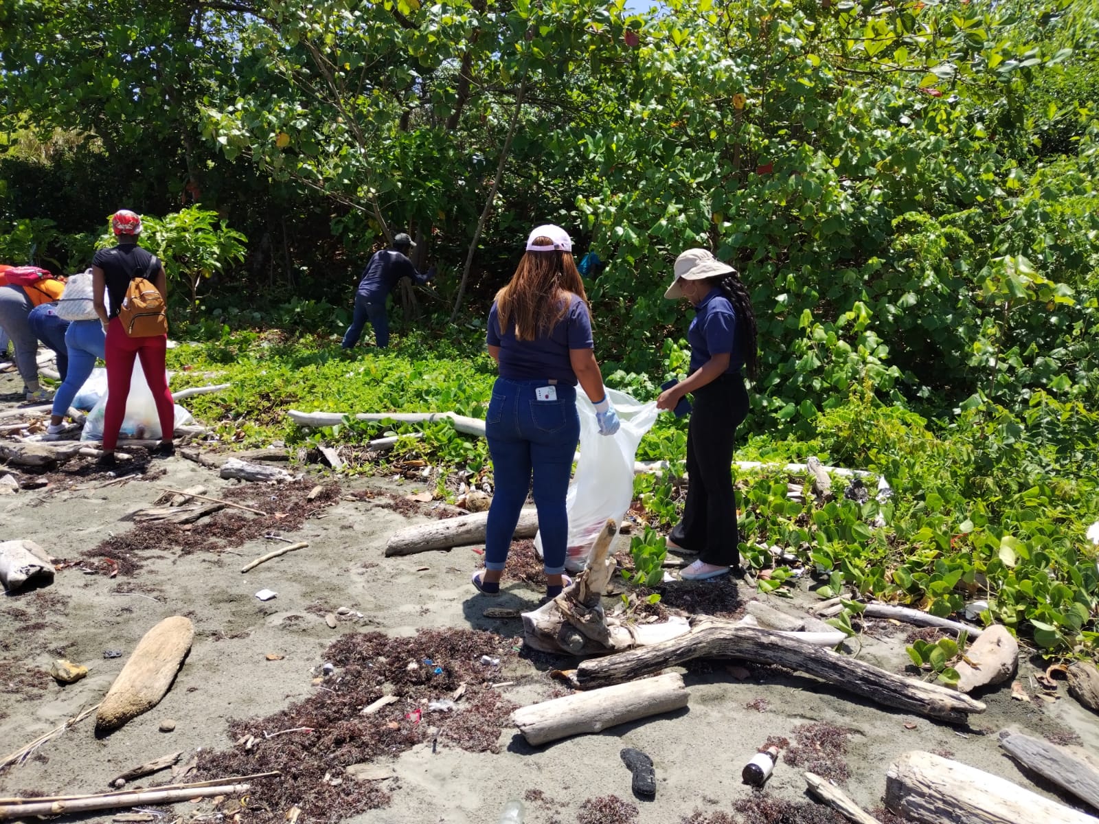 Realizan jornada de limpieza de playa Piña, Colón - MiAmbiente
