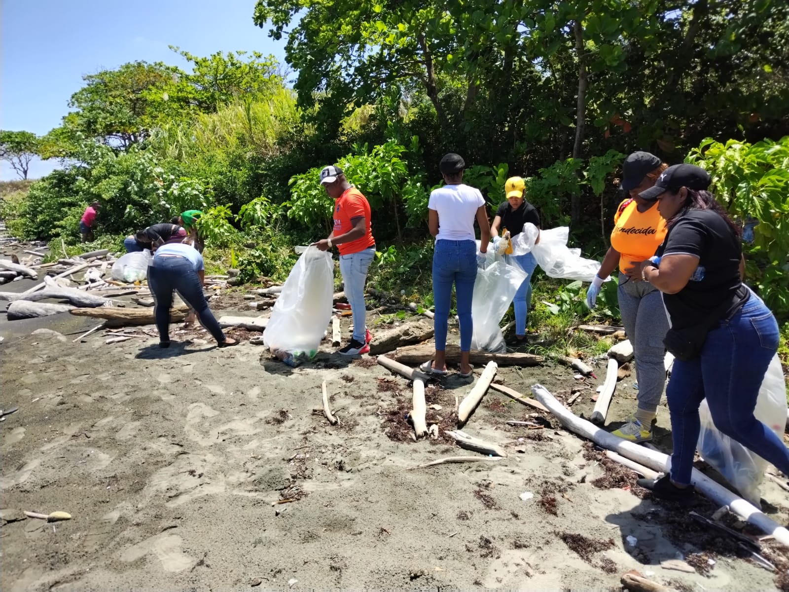 Realizan jornada de limpieza de playa Piña, Colón - MiAmbiente
