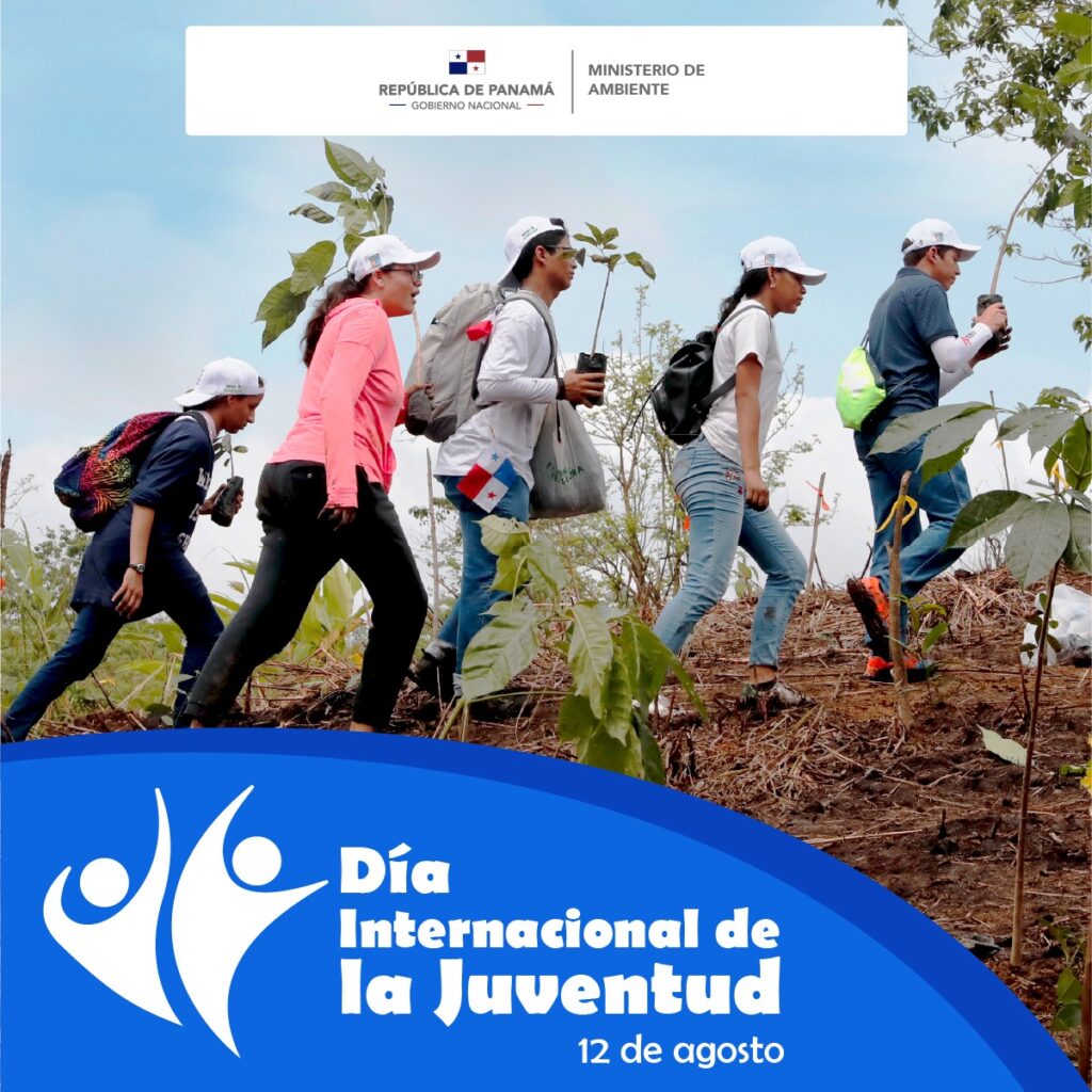 El Rol de la juventud en la acción climática Hacia un mundo más ...