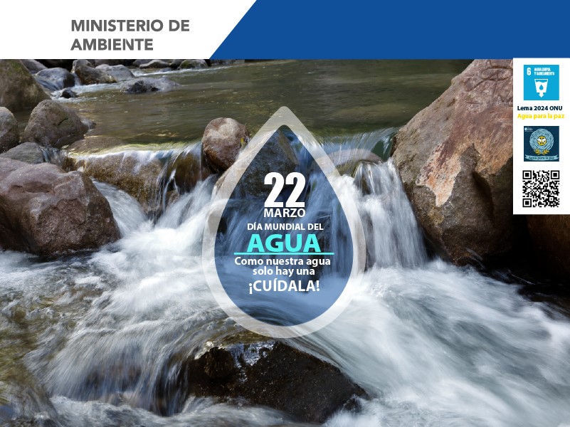 Día Mundial del Agua: agua para la paz. - MiAmbiente