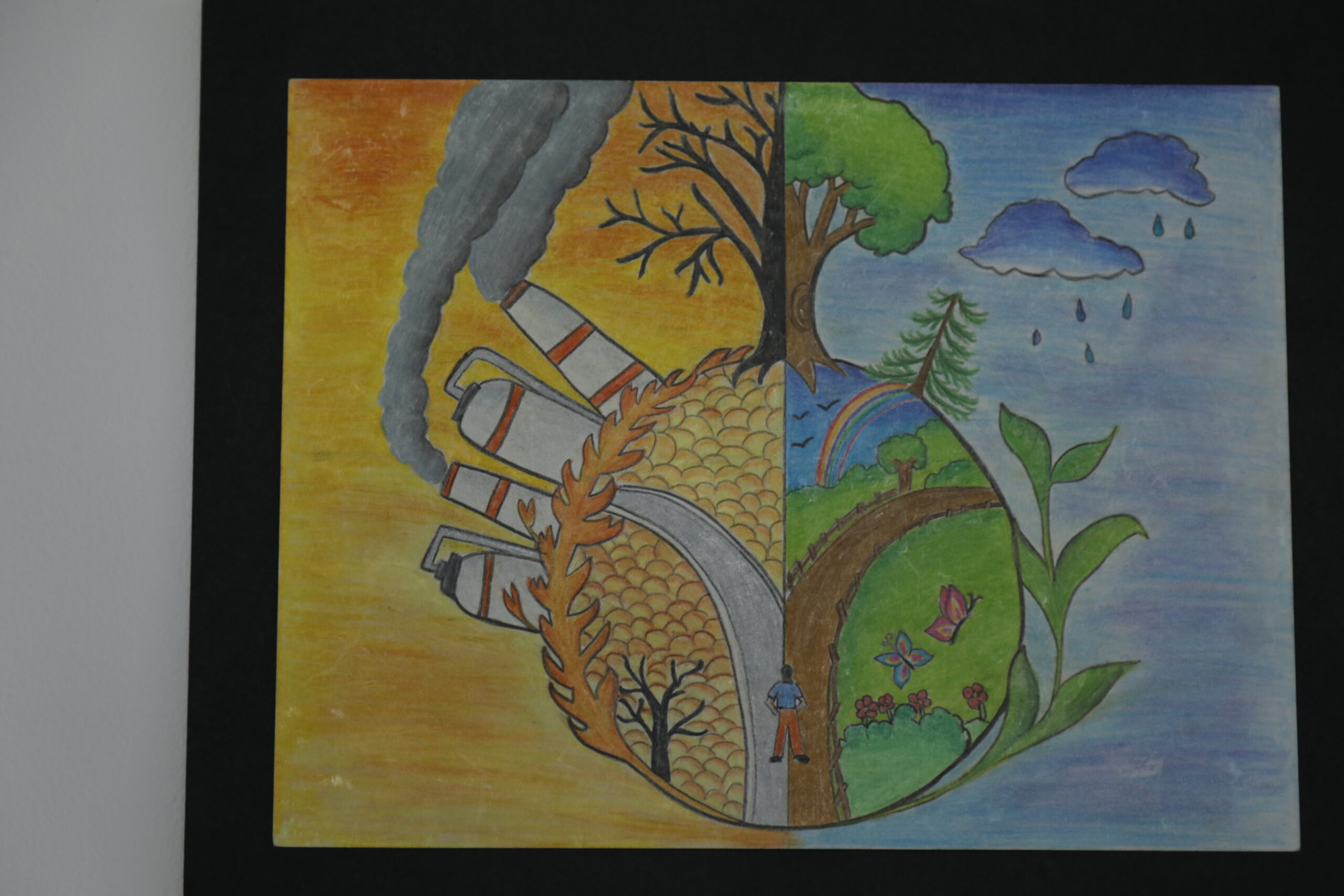 ¡Celebramos el arte por el planeta! Conoce a las y los ganadores del ...